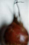 detail  >