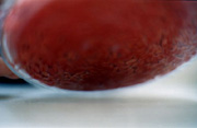 detail  -->