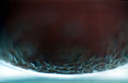detail  -->