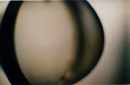 detail -->