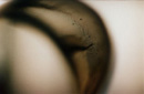 detail -->