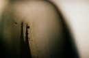 detail -->