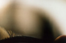 detail -->