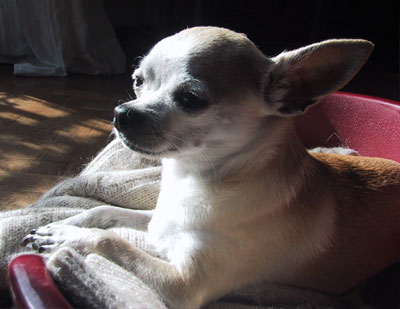 Miles under the sun