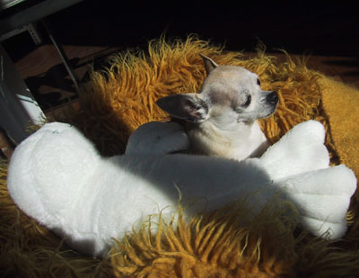 sleeping