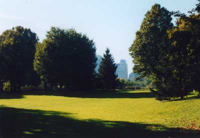 Sheep Meadow