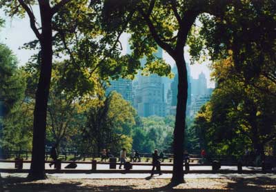 central park