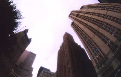 fisheye N.Y.