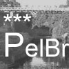 Pelorus Bridge